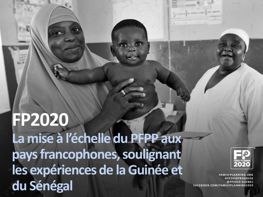 Priorités suite à l'atelier 2018 des points focaux des pays francophones : Pleins feux sur la Guinée et le Sénégal