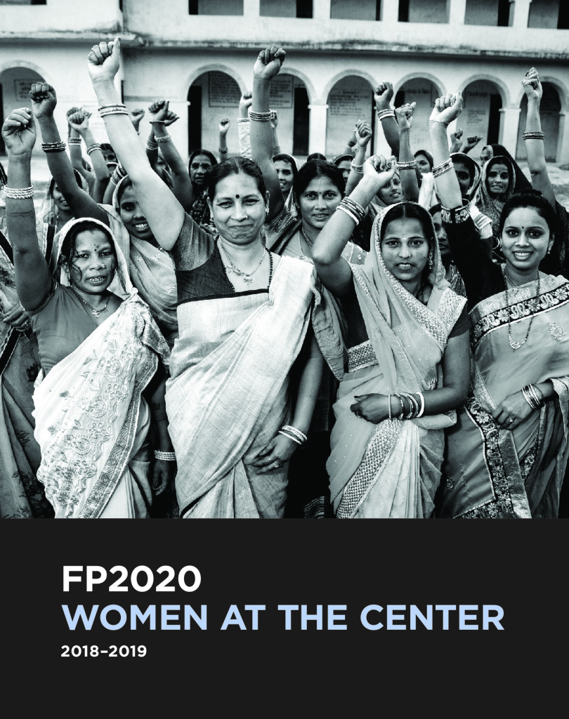 FP2020 Progress Report 2018-2019